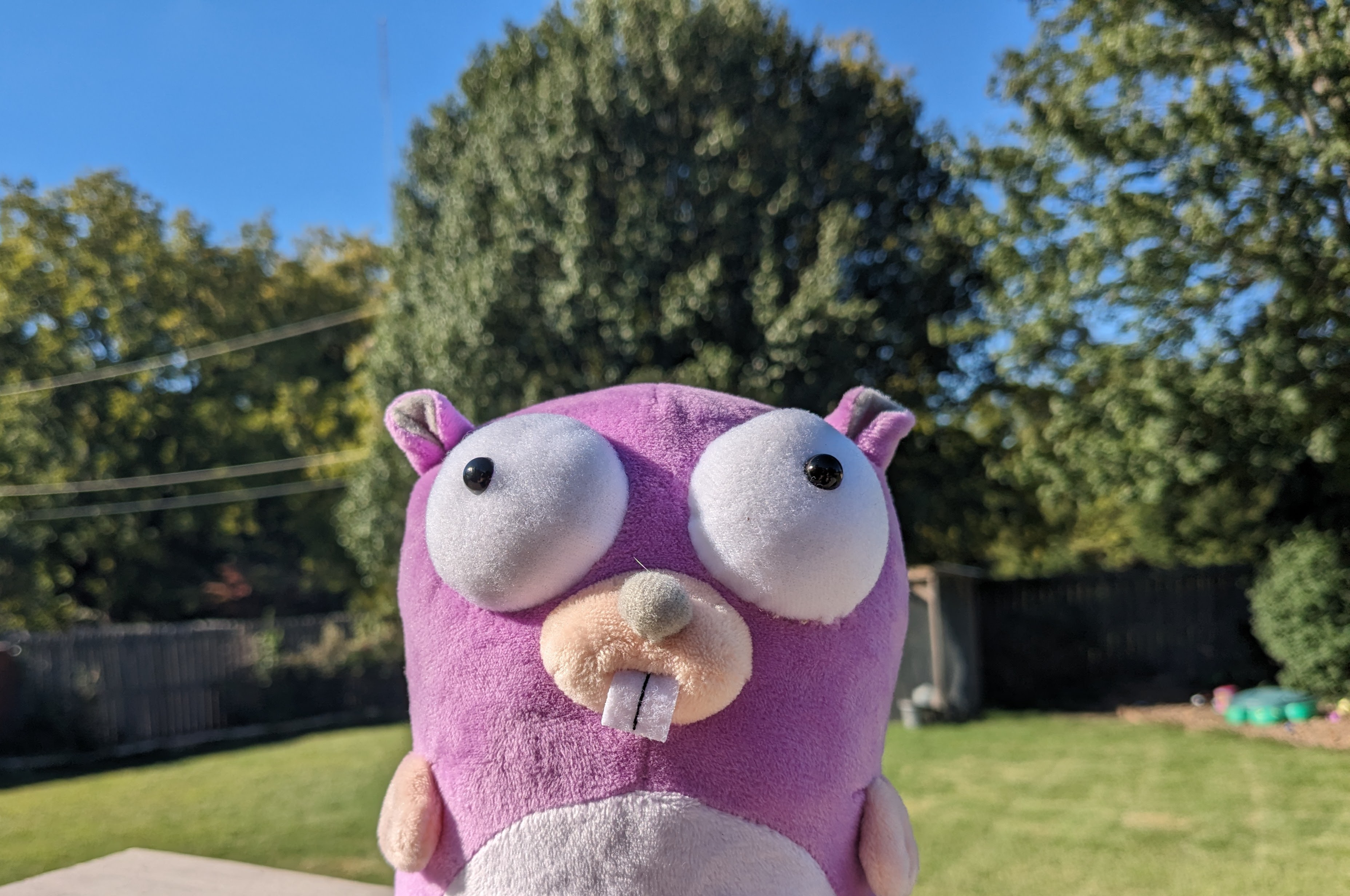 gopher plushie